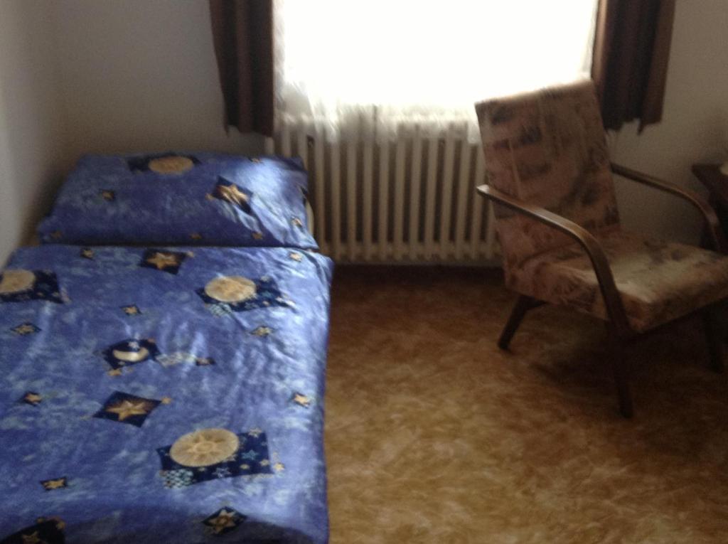 At Pension Чешка Будьовица Стая снимка